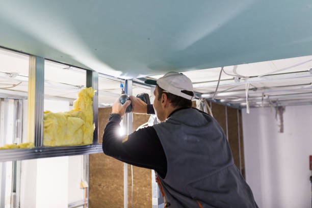 Best Spray Foam Insulation in Bryans Road, MD