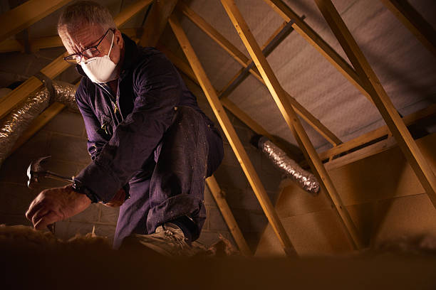 Best DIY Insulation Kits and Guidance in Bryans Road, MD